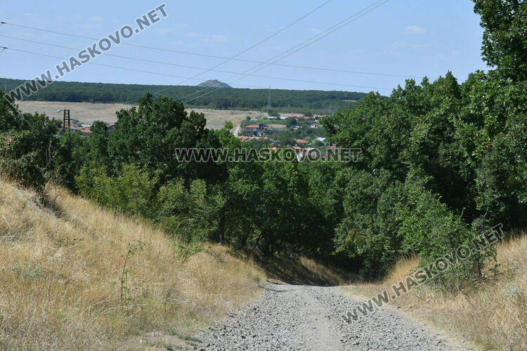Голям пожар южно от Въгларово, огънят настъпва към селото, вятърът е почти 40 км в час