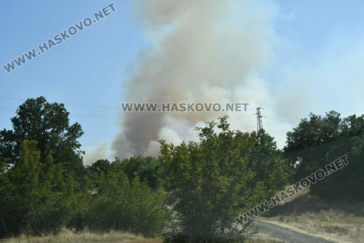 Голям пожар южно от Въгларово, огънят настъпва към селото, вятърът е почти 40 км в час