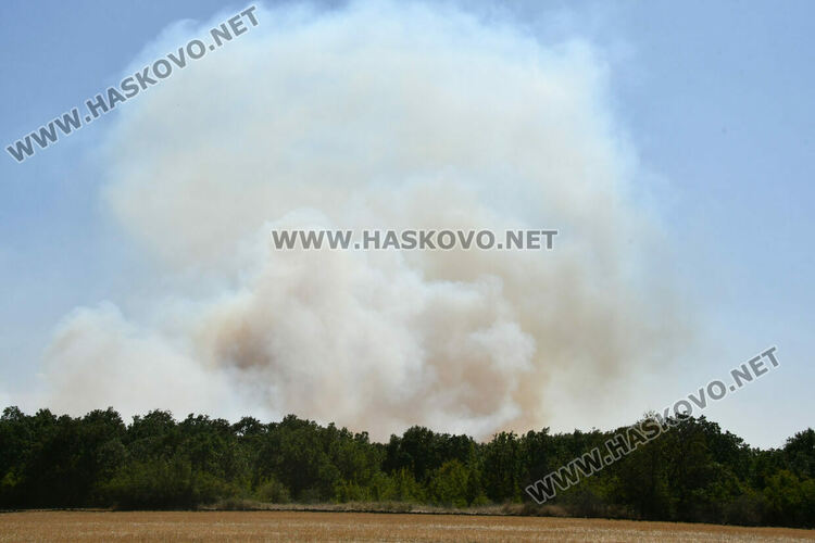 Голям пожар южно от Въгларово, огънят настъпва към селото, вятърът е почти 40 км в час