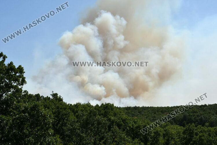 Голям пожар южно от Въгларово, огънят настъпва към селото, вятърът е почти 40 км в час