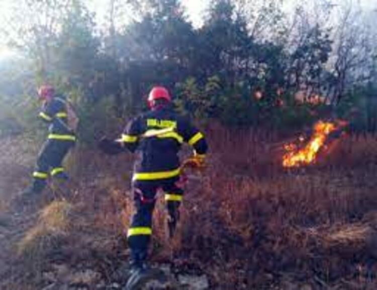 снимката е илюстративна