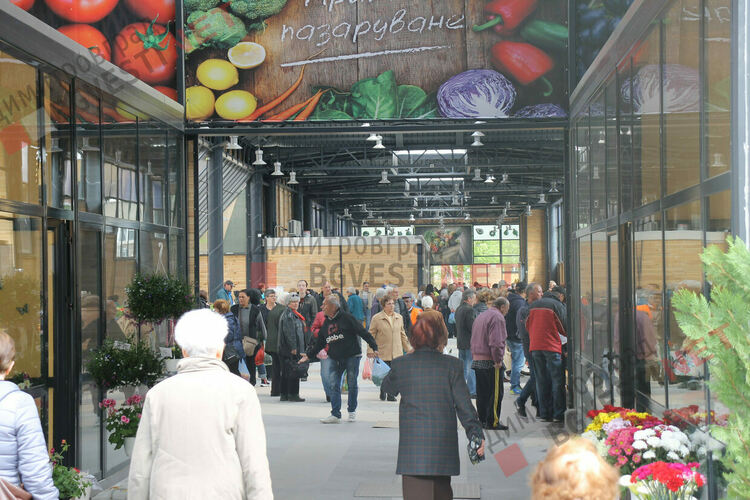 Над 60 свободни позиции обявени от Бюрото по труда в Димитровград