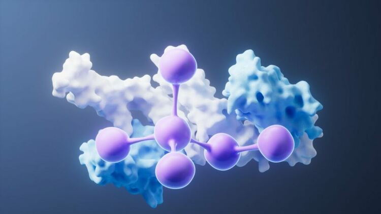 Откриха протеин, чрез който се разпространява стареенето