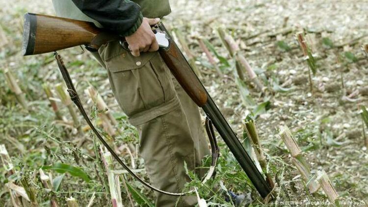 Издирват бракониер отстрелял кошута край Стоманово