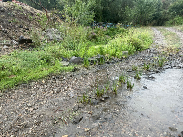 Жители на Въгларово се жалват от безводие, нивото на река Хасковска в селото е критично ниско