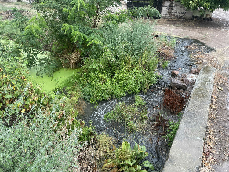 Жители на Въгларово се жалват от безводие, нивото на река Хасковска в селото е критично ниско