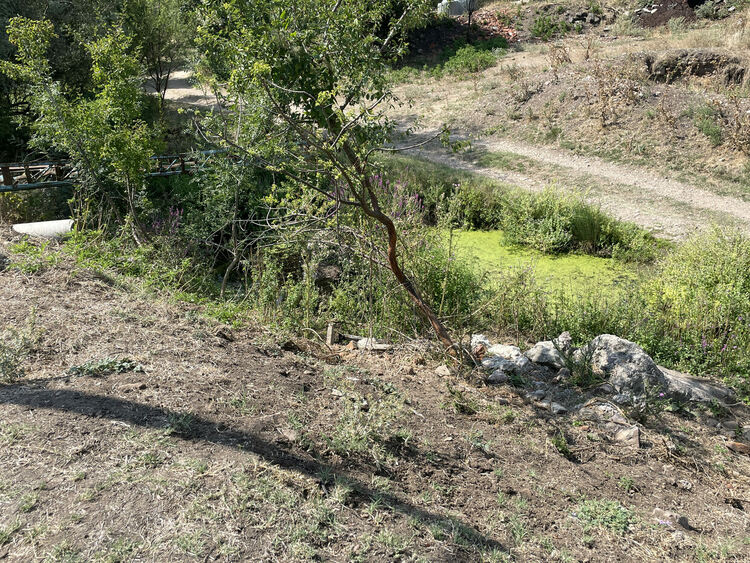 Жители на Въгларово се жалват от безводие, нивото на река Хасковска в селото е критично ниско