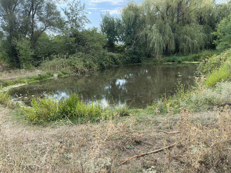 Жители на Въгларово се жалват от безводие, нивото на река Хасковска в селото е критично ниско