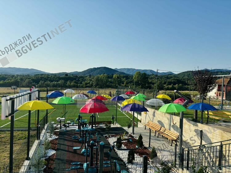 Дружинци ни кани да се повеселим дружно