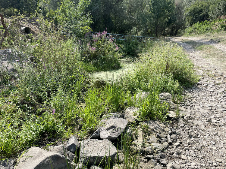 Жители на Въгларово се жалват от безводие, нивото на река Хасковска в селото е критично ниско