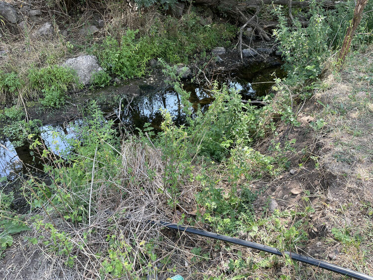 Жители на Въгларово се жалват от безводие, нивото на река Хасковска в селото е критично ниско