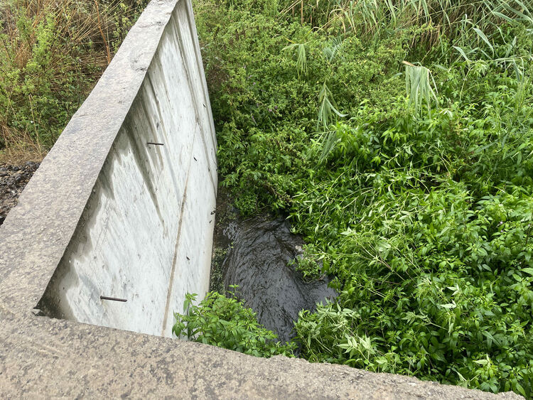 Жители на Въгларово се жалват от безводие, нивото на река Хасковска в селото е критично ниско