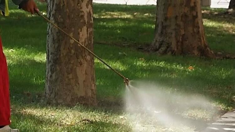 На 22 август пръскат срещу комари в Кърджали