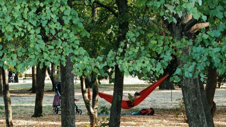 Източник: БГНЕС