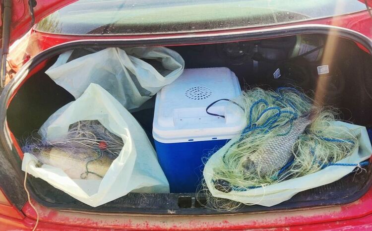 Снимки: ИАРА