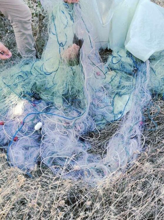 Хванаха бракониер с над 10 кг риба и 100 метра мрежи в кола край язовир „Тракиец“