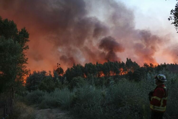Година след година пожарите стават все по-сериозни бедствия за Европа