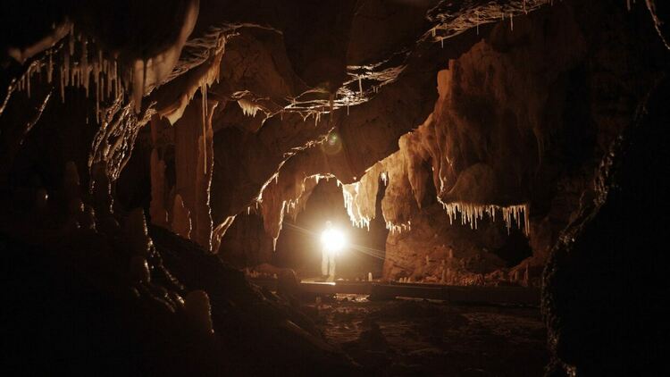 10 неща, които не знаете за пещерата Шове – първият велик шедьовър на човечеството