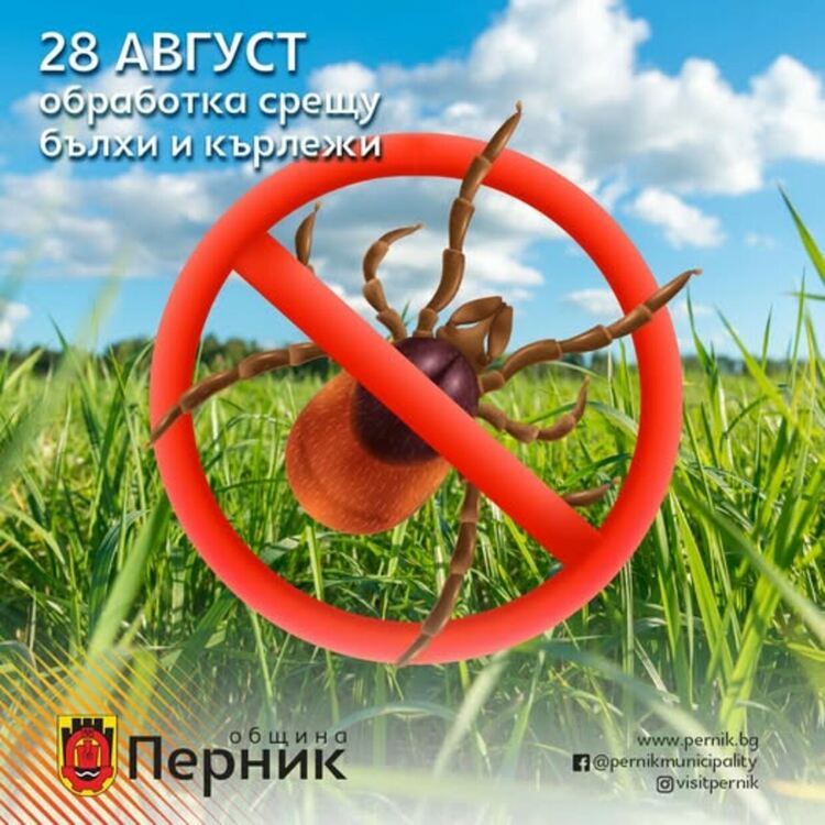 На 28 август 2025 г. ще се извърши обработка на тревните площи срещу бълхи и кърлежи