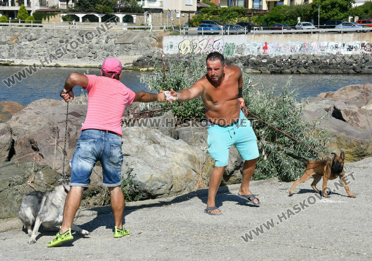 Слънчево и топло, с умерен вятър 