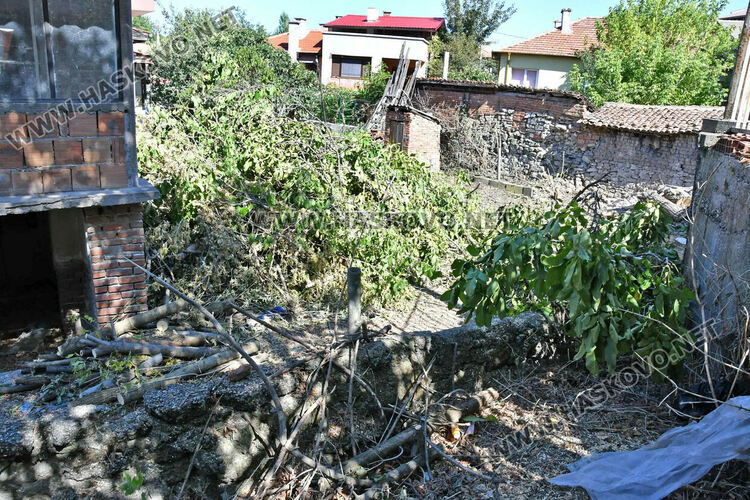 Отсякоха орех на стотици години в хасковския квартал „Каменни“