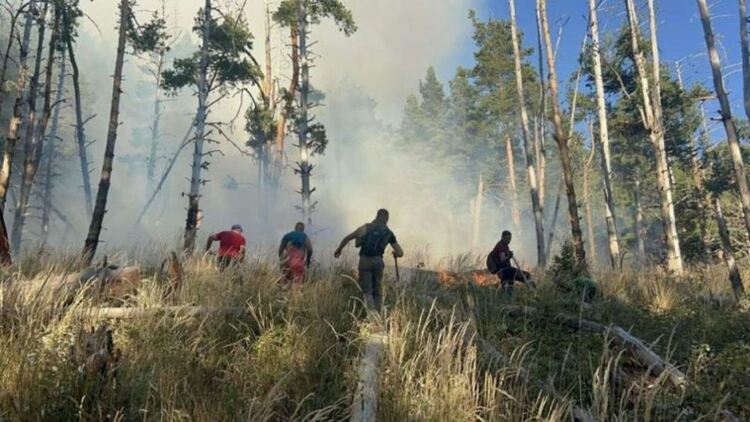 Пламъците в Рила тръгват към алпийската част