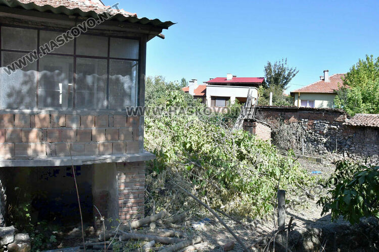 Отсякоха орех на стотици години в хасковския квартал „Каменни“