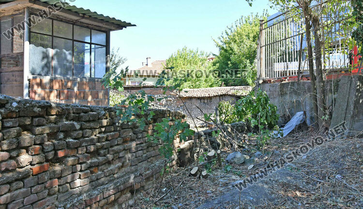 Отсякоха орех на стотици години в хасковския квартал „Каменни“