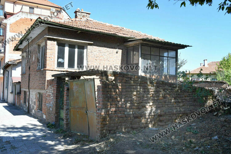 Отсякоха орех на стотици години в хасковския квартал „Каменни“