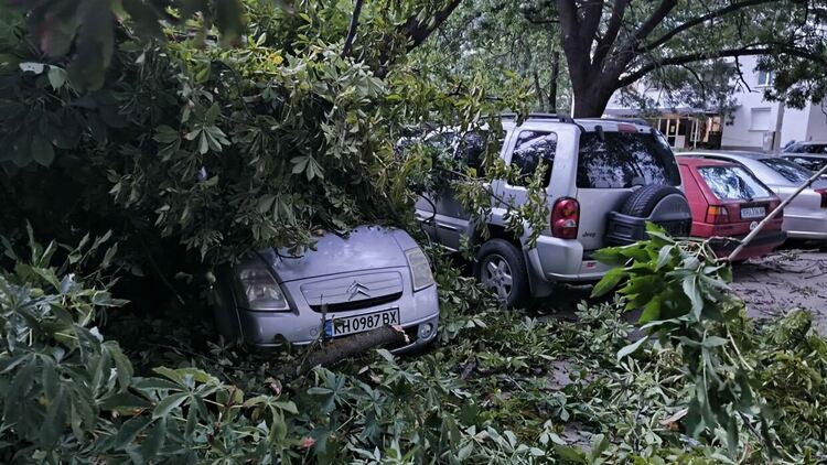 Паднали дървета, пожари и щети след бурята в Кюстендил