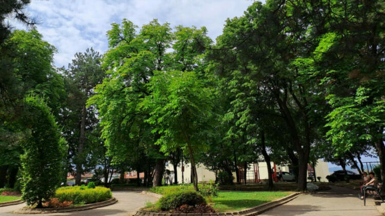 Източник: БГНЕС