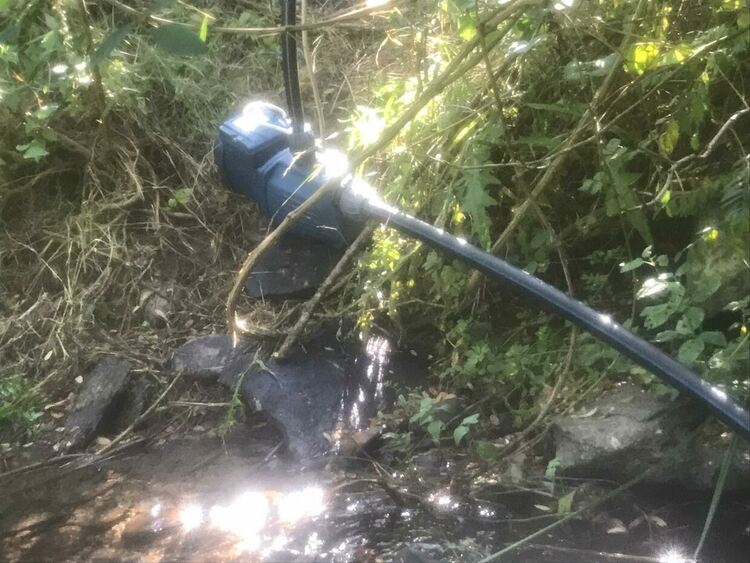 Двама са задържани за плантация с канабис, издирват още един