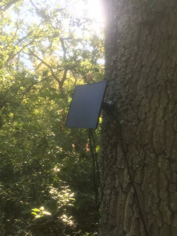 Двама са задържани за плантация с канабис, издирват още един