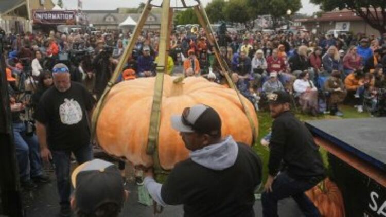 Фестивал на тиквата в Германия привлича посетители с 4-метрови скулптури