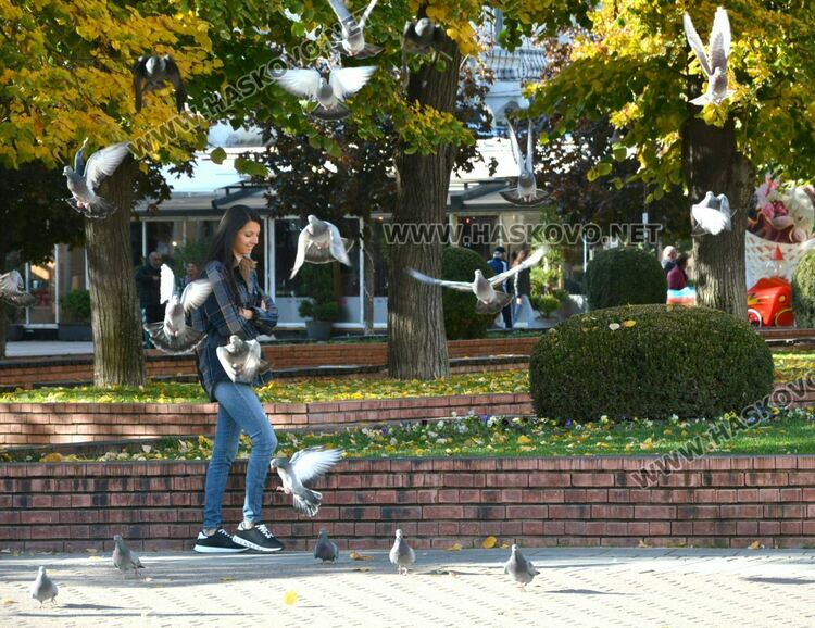 Слънчево, с малко облаци следобед в Източна България