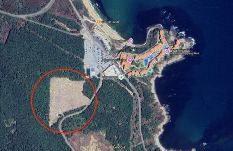 Изсечената гора в близост до Шофьорския плаж