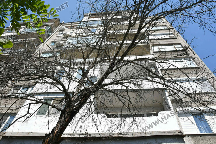 Проверяват сигнал за опасно дърво до бл. 24 в кв. „Орфей“