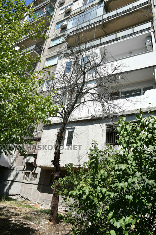 Проверяват сигнал за опасно дърво до бл. 24 в кв. „Орфей“