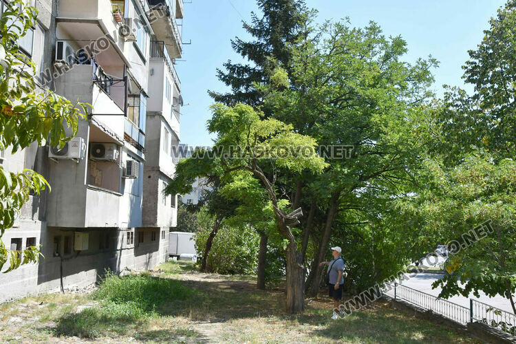 Проверяват сигнал за опасно дърво до бл. 24 в кв. „Орфей“