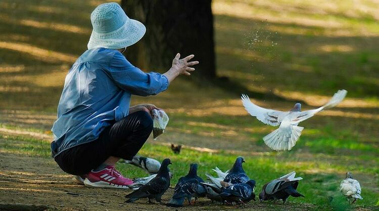 Предимно слънчево с разкъсана висока облачност в събота
