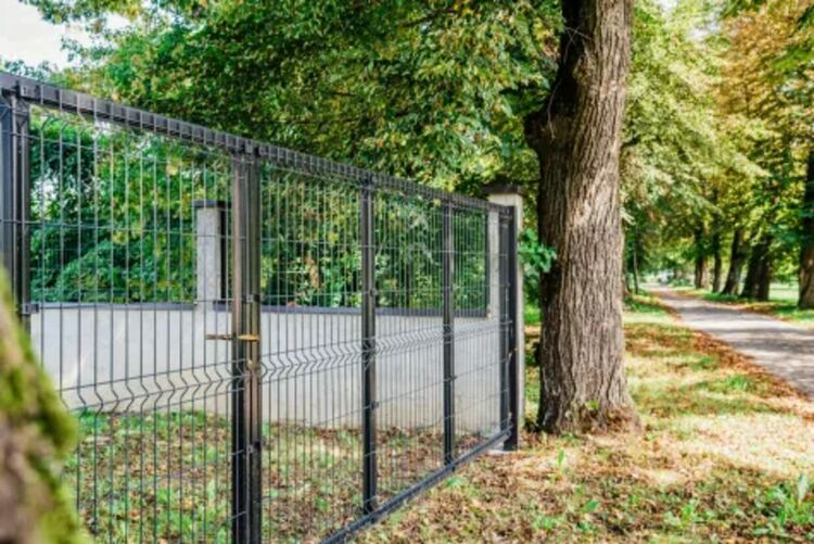 Снимката е илюстративна