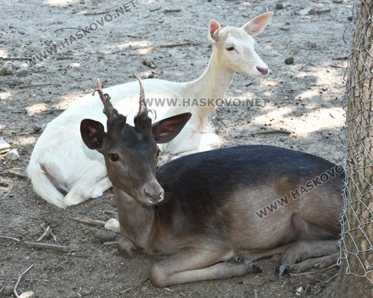 Предимно слънчево и топло в петък