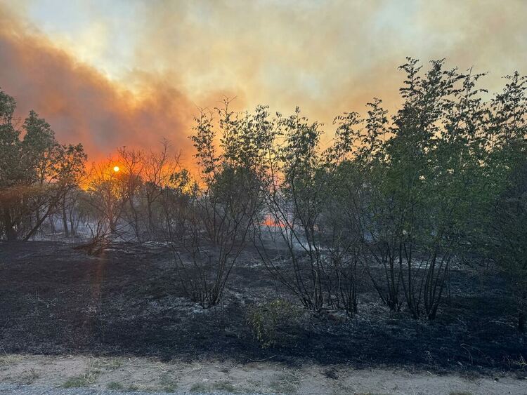 Снимки: Областна администрация - Хасково