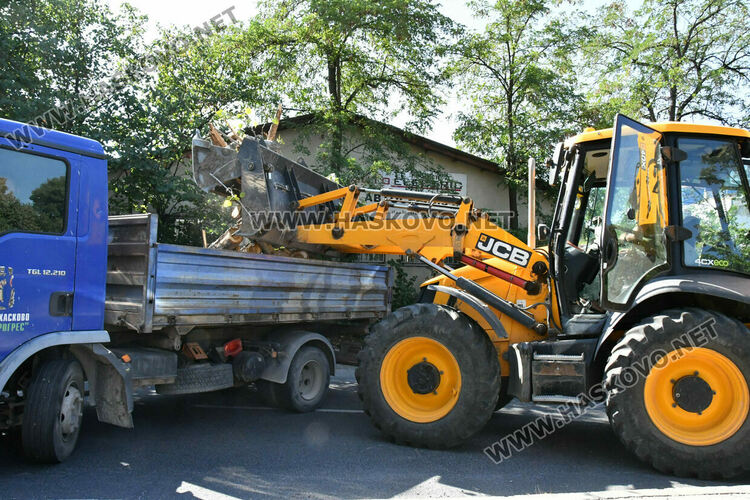 Поредна изгнила топола падна в коритото на река Хасковска 