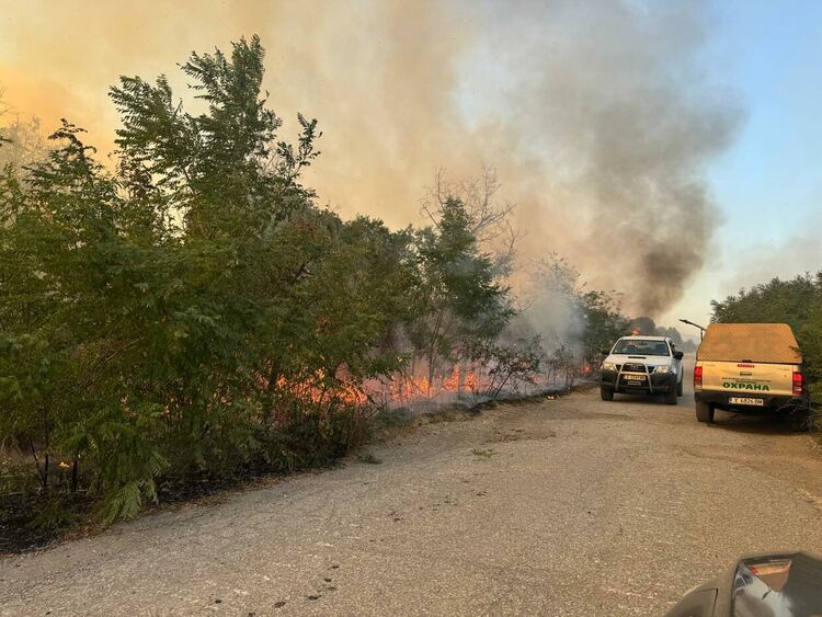Близо 7000 дка обхвана пожарът в Сакар планина