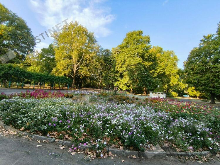    Предимно слънчево и тихо днес в Кърджали
