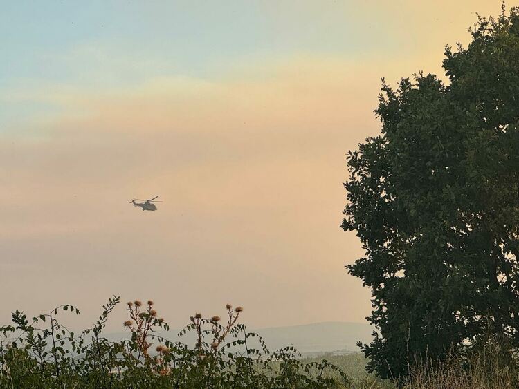 Близо 7000 дка обхвана пожарът в Сакар планина