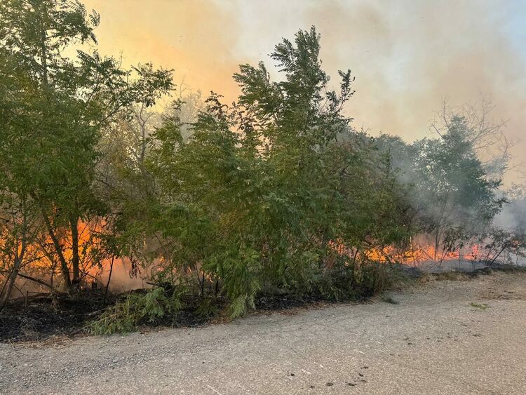 Близо 7000 дка обхвана пожарът в Сакар планина
