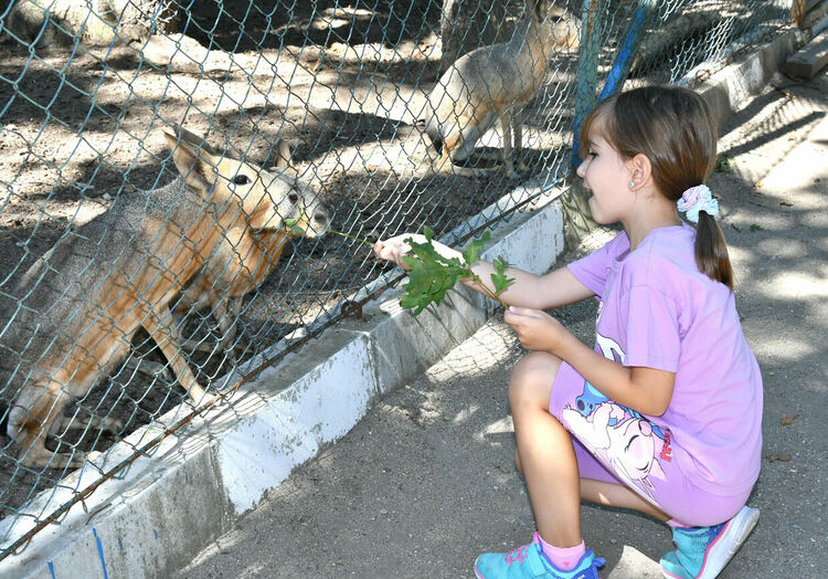 Слънчево и топло, с умерен вятър