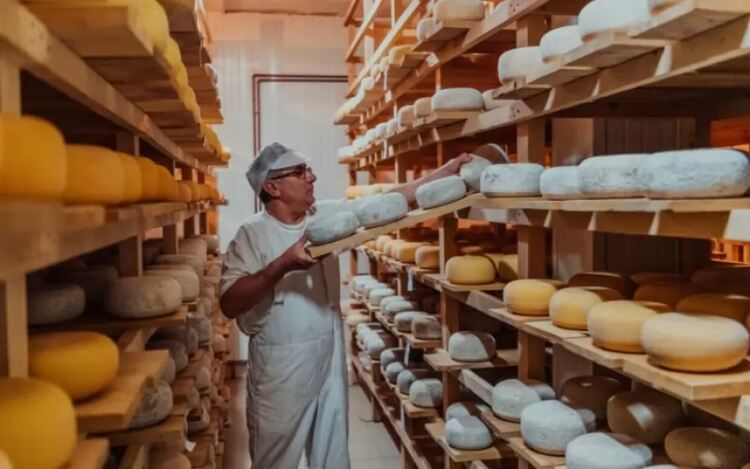 В традиционната българска рецепта за полезно и вкусно бяло саламурено сирене няма нито палмови мазнини, нито 60% съдържание на вода.